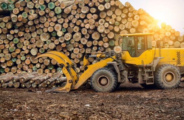Timber Yard