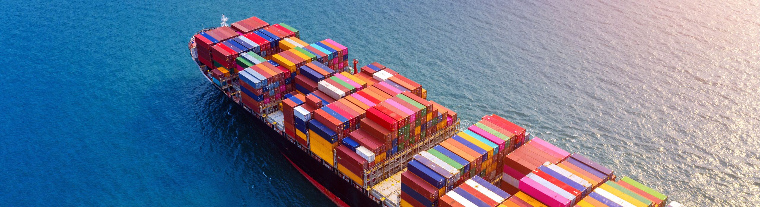 The Role of Freight Forwarding in International Trade | Blue Berkhs